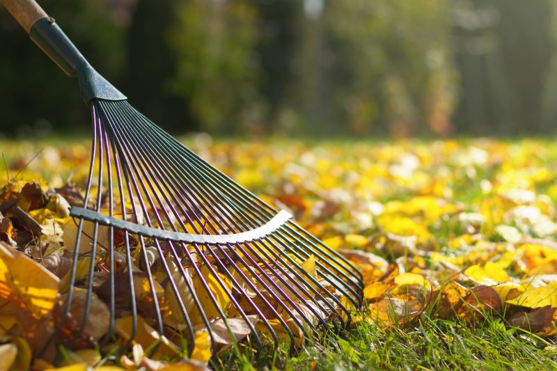 Fall Lawn Care Tools
