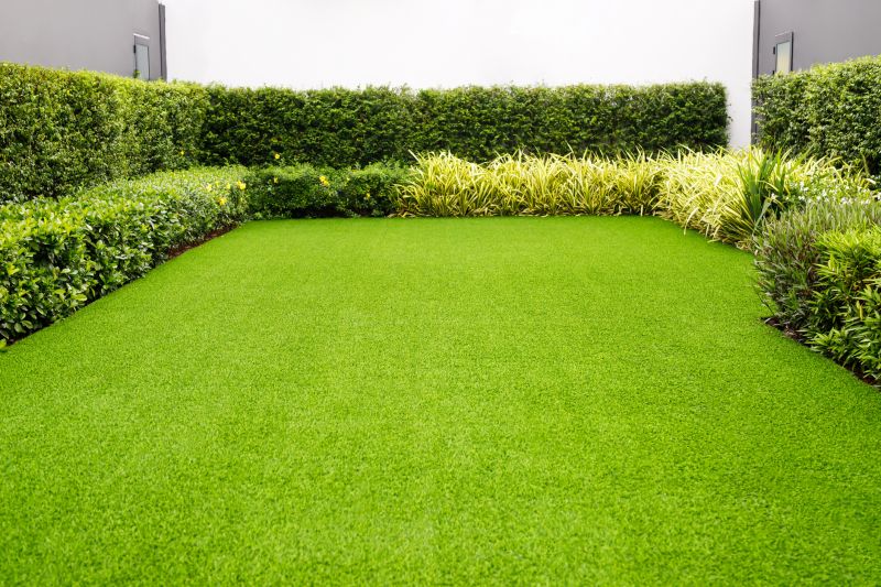 Clean Lawn Edges