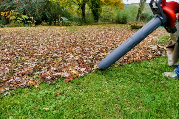 Cost of Leaf Vacuuming Service in Herndon