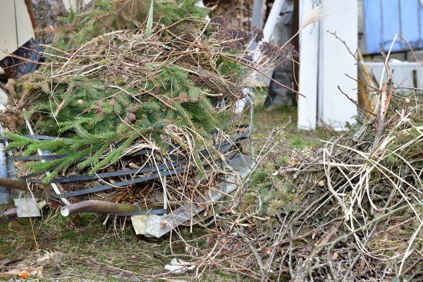 Cost of Yard Debris Removal in Herndon