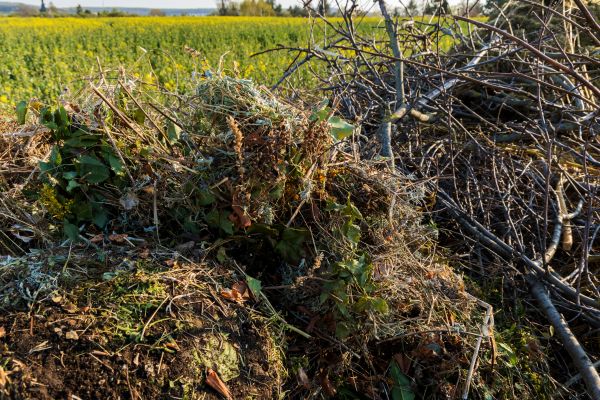 Cost of Brush Disposal in Herndon