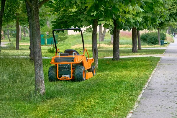 Cost of Landscaping Cleanup Service in Herndon