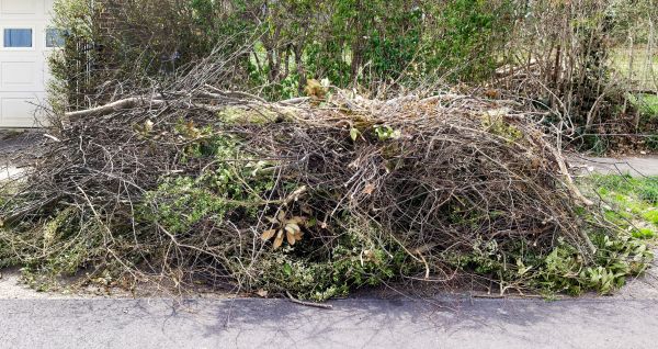 Cost of Tree Limb Cleanup in Herndon