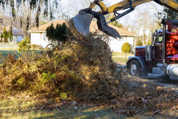 Cost of Storm Debris Removal in Herndon