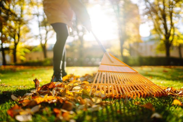 Cost of Leaves Raking in Herndon