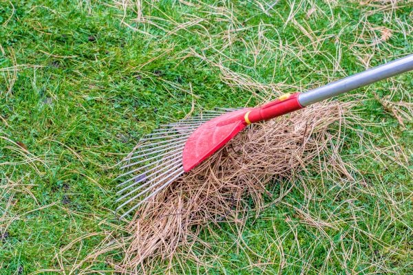 Cost of Yard Raking in Herndon