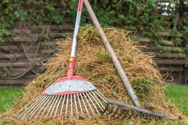 Cost of Pine Straw Clearing in Herndon