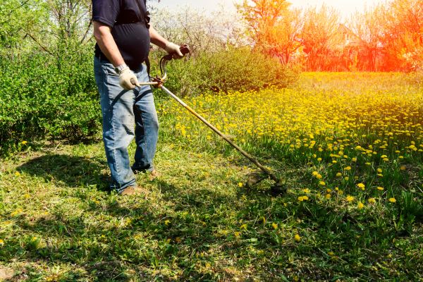Cost of Yard Clearing Service in Herndon